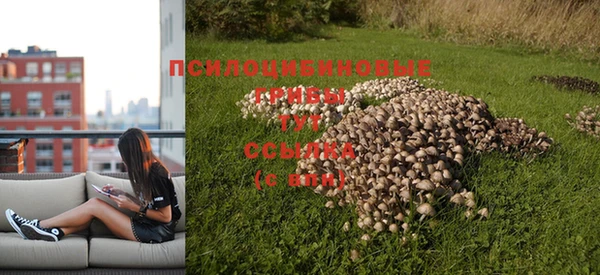 ешки Лиски