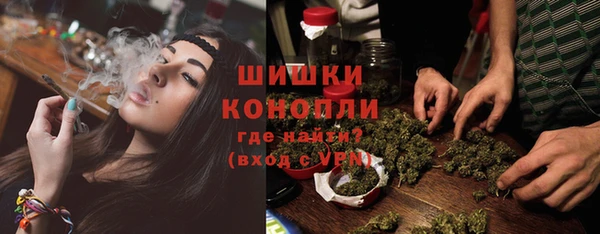 сатива Лихославль