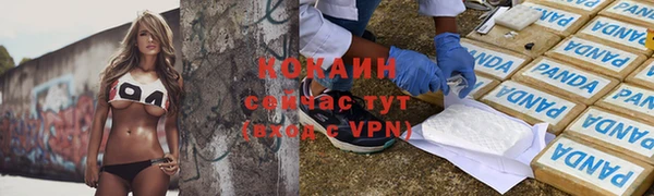 сатива Лихославль