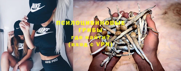 сатива Лихославль