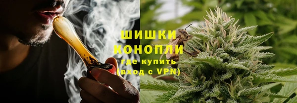 сатива Лихославль