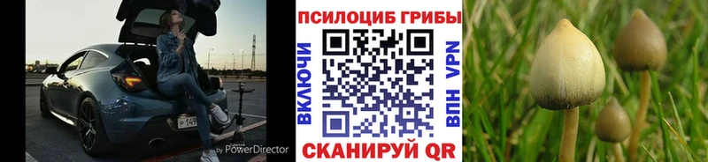 Псилоцибиновые грибы мухоморы  Купить  Кировград 